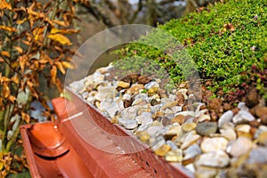 Detail of stones on extensive green living roof vegetation covered