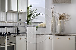 Detail of stylish interior white kitchen