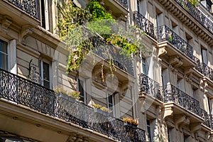 Detail of Summer Parisian Balconies