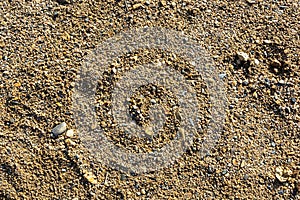 Detail of surface texture with small pebble rock on dirty ground