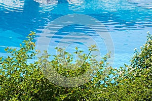 Detail of a swimming pool