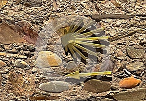 Detail of the symbols of the road for pilgrims. photo