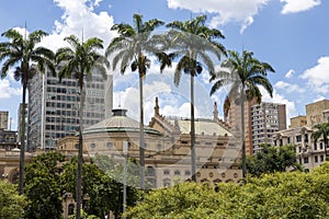 Detail of SÃÂ£o Paulo Municipal Theater photo