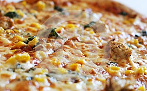 Detail of tasty pizza with cheese and corn