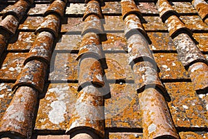 Detail of terracotta roof tiles