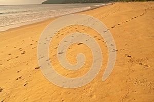 Detail texture of sand Sea sun beach for relax in holiday Sunny summer background with foot print on sand beautiful beach in