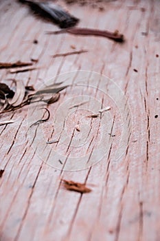 Detail of the texture of a wooden log split in half.