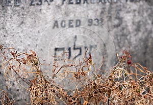 Detail on tombstone at the Victorian Jewish cemetery in Willesden, north west London, UK, photographed in autumn.