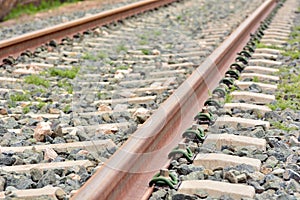 Detail of the track of a conventional train photo