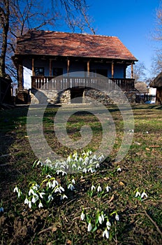 Spring in Romania - Traditional house