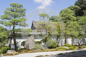 Detail of traditional Japanese garden