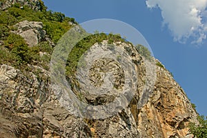 Detail of a Transylvanian mountain ridge with trees