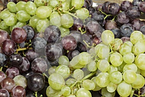 Detail of tray with different kinds of table grapes freshly harvested