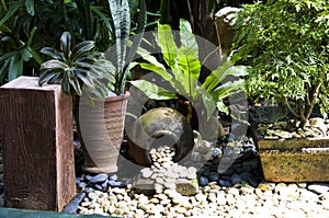 Detail of tropical garden in Boracay