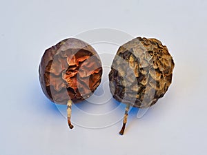 Detail of Two Dried Passionfruit, Metaphor for Age