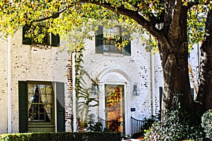 Detail of two story upscale white painted brick house with reflections of fall leaves in front door - Large tree in front with sun