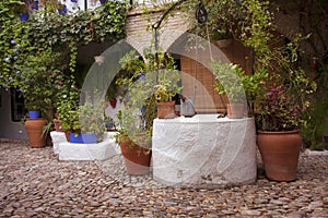 Detail of a typical Andalusian patio with stone floor, water well and decorated with different types of plants and pots. Cordoba