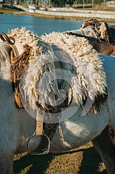 Detail of typical horse saddle and steel stirrup