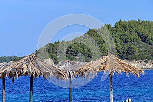 Detail of umbrellas and nature in the pristine beach of Tristinika in the Chalkidiki peninsula