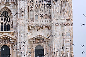 Detail of upper section of the Duomo di Milano with flying birds.