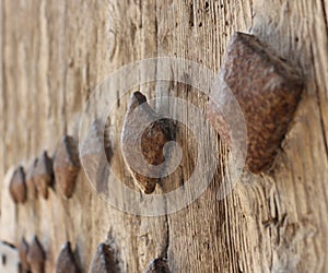 Detail from Valencia Torres de Serranos door