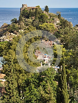 detail in the vegetation of isola bella in taormina