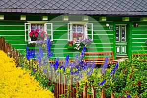 Detail of vibrant colorful cottage wall and windows with blooming flowers