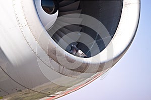Detail view of a jet plane engine, with two doves