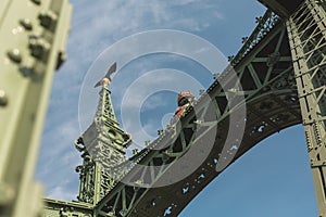 Detail view of the Liberty Bridge, in Budapest, Hungary photo