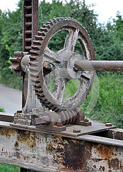 Old rusty gear