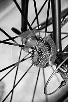 Detail view of racing bicycle cassette gears ratios