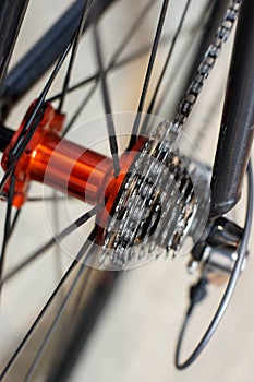 Detail view of rear bicycle sprocket racing gears