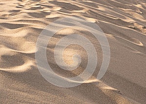 detail view of sand on sand dunes at the beach