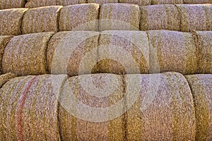 Detail of stacked round bales of straw, Czech Republic.