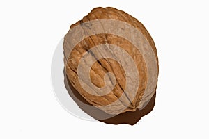 Detail view of a walnut on a white background