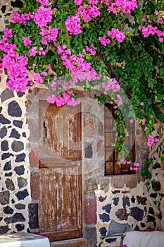 Detail of vintage wooden door and colorful flowers