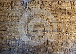 Detail on the wall of the shrine in the Temple of Ramesses III in the Karnak complex near Luxor, Egypt.