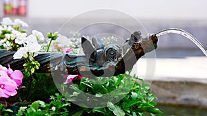 Detail of a water tap with animal motif on a fountain BarfÃ¼sser Fountain on Franziskanerplatz in the historic centre of Lucerne,