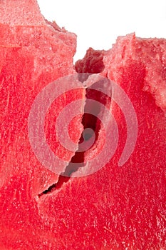 Detail of Watermelon