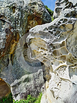 Detail of Weathered Honeycomb Sandstone, Sydney, Australia