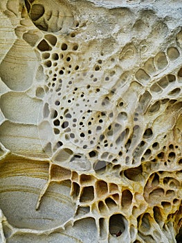 Detail of Weathered Honeycomb Sandstone, Sydney, Australia