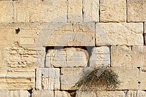 Detail of Western Wall in Jerusalem Old City, Israel