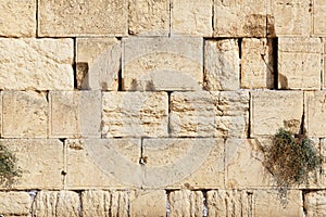 Detail of Western Wall in Jerusalem Old City, Israel