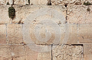 Detail of the Western Wall Limestone Blocks