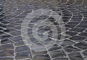 Detail of wet cobblestone road