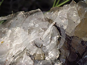 Detail of white natural quartz in grass, beautiful transparent crystal structure