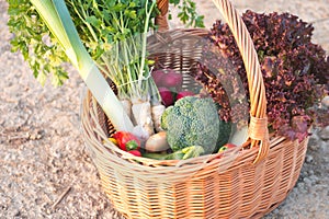 Detail on wicker basket full of fresh vegetables.