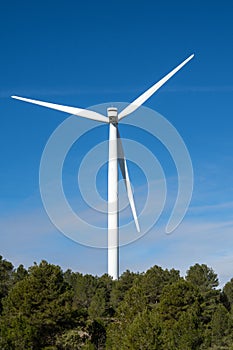 Detail of windmill in forest
