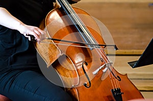 Detail of a woman playing cello photo