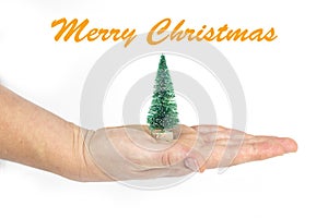 Detail of a woman`s hand holding a little Christmas tree with text in English `Merry Christmas` in white isolated background